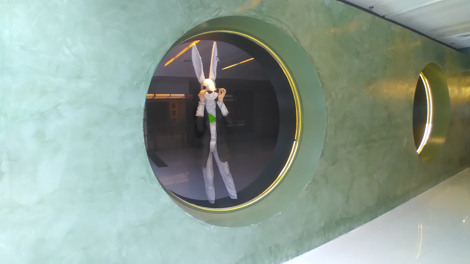 WhatsApp Image 2024-11-22 at 13.47.28 (8)